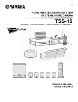 Yamaha TSS-15 El kitabı