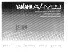 Yamaha AV-M99 El kitabı