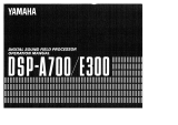 Yamaha DSP-E300 El kitabı