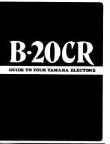Yamaha B20CR El kitabı