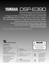 Yamaha DSP-100 El kitabı