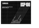 Yamaha DSP-100 El kitabı