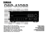 Yamaha DSP-A1092 El kitabı
