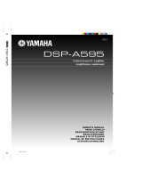 Yamaha DSP-A595 El kitabı