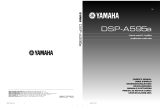 Yamaha DSP-A595a El kitabı