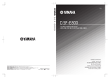 Yamaha DSP-E800 El kitabı