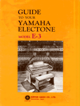 Yamaha E-30 El kitabı