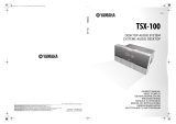 Yamaha TSX-100 El kitabı