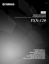 Yamaha TSX-120 El kitabı