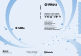 Yamaha TSX-B15 El kitabı