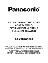 Panasonic TX24DSW354 Kullanma talimatları