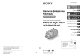 Sony DCR-SR100E Kullanma talimatları