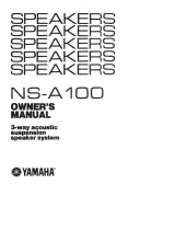 Yamaha NS-A100 El kitabı