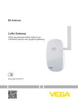 Vega LoRa Gateway Supplementary instructions